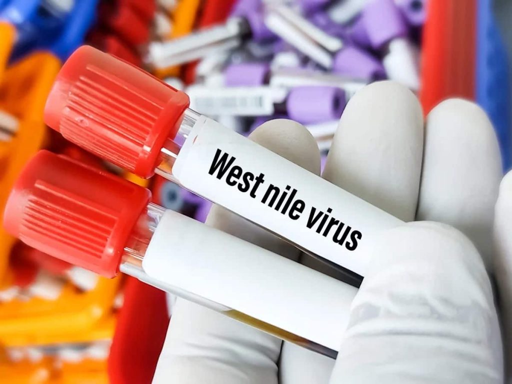 West Nile Virus: Protecting Yourself From a Mosquito-Borne Threat